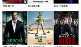 美剧在线观看网站,揭秘热门在线观看平台攻略